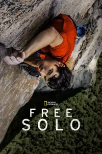 Poster to the movie "Free Solo" #957919