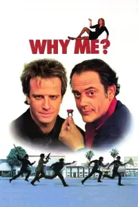 Poster to the movie "Why Me?" #988323