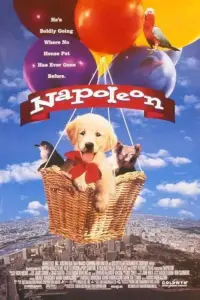 Poster to the movie "Napoleon" #646964
