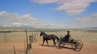Backdrop to the movie "Last Train from Gun Hill" #509601