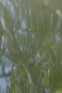 Poster to the movie "Lacerations" #641320