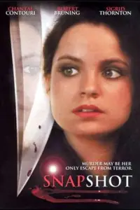 Poster to the movie "Snapshot" #659309