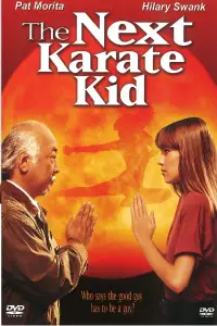 Poster to the movie "The Next Karate Kid" #934326