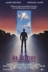 Poster to the movie "Mr. Destiny" #719458
