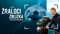 Backdrop to the movie "Sharks Up Close with Bertie Gregory" #802096