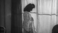 Backdrop to the movie "Women of the Night" #729982