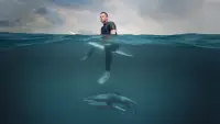 Backdrop to the movie "Shark Beach with Chris Hemsworth" #880606