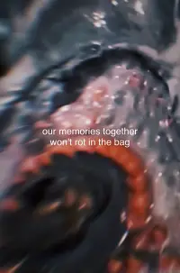 Poster to the movie "Our Memories Together Won