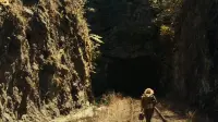 Backdrop to the movie "A Quiet Place Part II" #711269