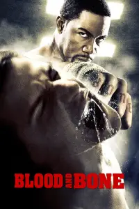 Poster to the movie "Blood and Bone" #964944