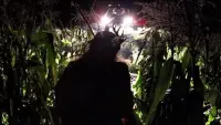 Backdrop to the movie "Fawn" #796249
