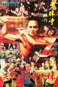 Poster to the movie "Fury in Shaolin Temple" #1193029