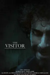 Poster to the movie "The Visitor" #657999