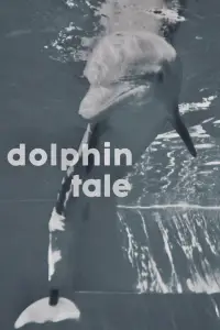 Poster to the movie "Dolphin Tale" #506629