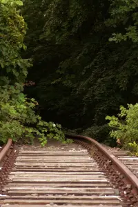 Poster to the movie "A Lot Happens If Nothing Happens" #706203