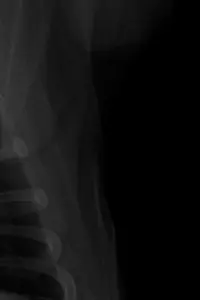 Poster to the movie "MENTIRAS PIADOSAS." #657904