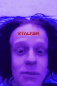 Poster to the movie "Stalker" #777367