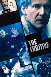 Poster to the movie "The Fugitive" #950779
