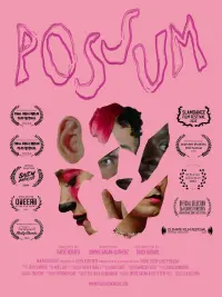 Poster to the movie "Possum" #701774