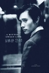 Poster to the movie "A Bittersweet Life" #762357