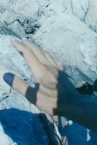 Poster to the movie "Winged Dialogue" #886245