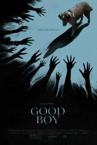 Poster to the movie "Good Boy" #836032
