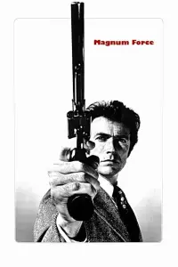 Poster to the movie "Magnum Force" #945563