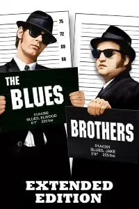 Poster to the movie "The Blues Brothers" #658058