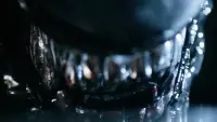 Backdrop to the movie "Alien" #739833