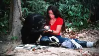 Backdrop to the movie "Lucy the Human Chimp" #896965