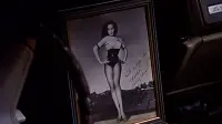 Backdrop to the movie "To Wong Foo, Thanks for Everything! Julie Newmar" #781295