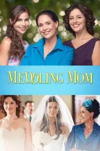 Poster to the movie "Meddling Mom" #1045831