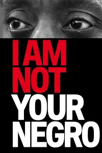 Poster to the movie "I Am Not Your Negro" #1107634