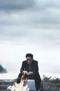 Poster to the movie "Fireworks" #711008