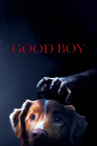 Poster to the movie "Good Boy" #899257