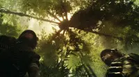 Backdrop to the movie "Kong: Skull Island" #741667