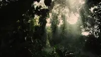 Backdrop to the movie "The Hunger Games: Catching Fire" #740298