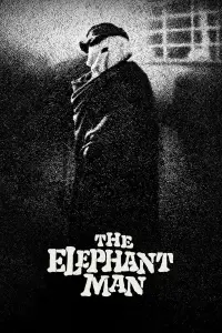 Poster to the movie "The Elephant Man" #939892