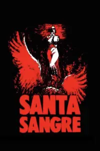 Poster to the movie "Santa Sangre" #973528