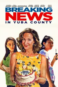 Poster to the movie "Breaking News in Yuba County" #1112589