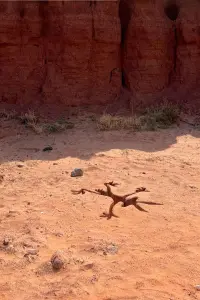 Poster to the movie "Coyote vs. Acme" #860970