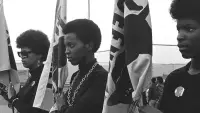 Backdrop to the movie "The Black Panthers: Vanguard of the Revolution" #1103821