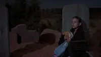 Backdrop to the movie "The Searchers" #692267