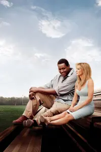 Poster to the movie "The Blind Side" #201704