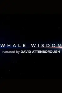 Poster to the movie "Whale Wisdom" #1165855