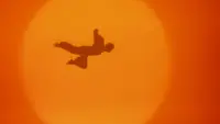 Backdrop to the movie "Drop Zone" #793286