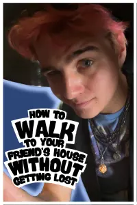 Poster to the movie "How to Walk to Your Friend