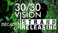 Backdrop to the movie "30/30 Vision: Three Decades of Strand Releasing" #986711