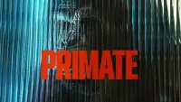 Backdrop to the movie "Primate" #510118