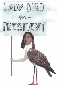 Poster to the movie "Lady Bird" #1023423